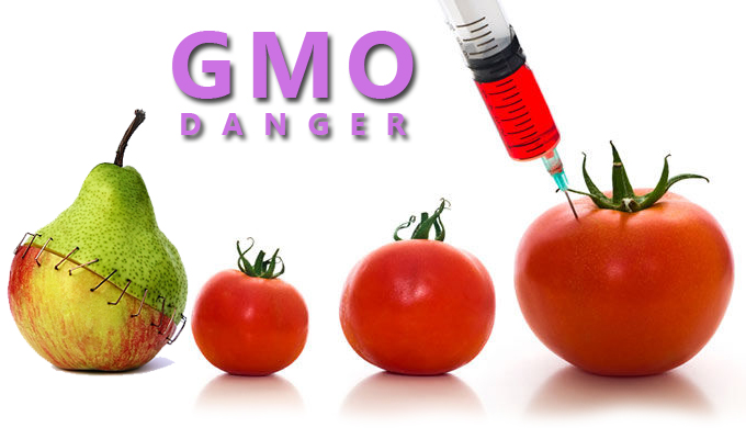 GMO 3